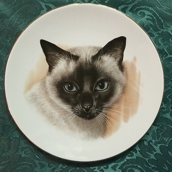 Vintage Other - Vintage Decorative Siamese Plate Ironstone England